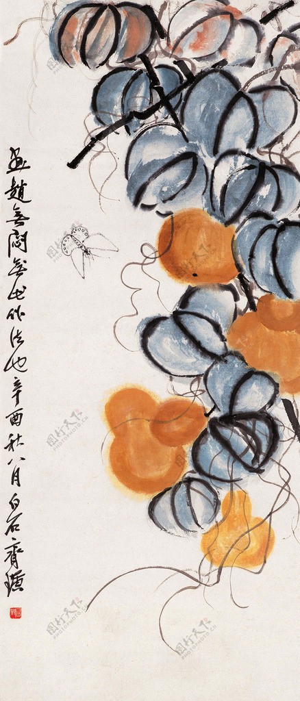 葫芦花蝶图片