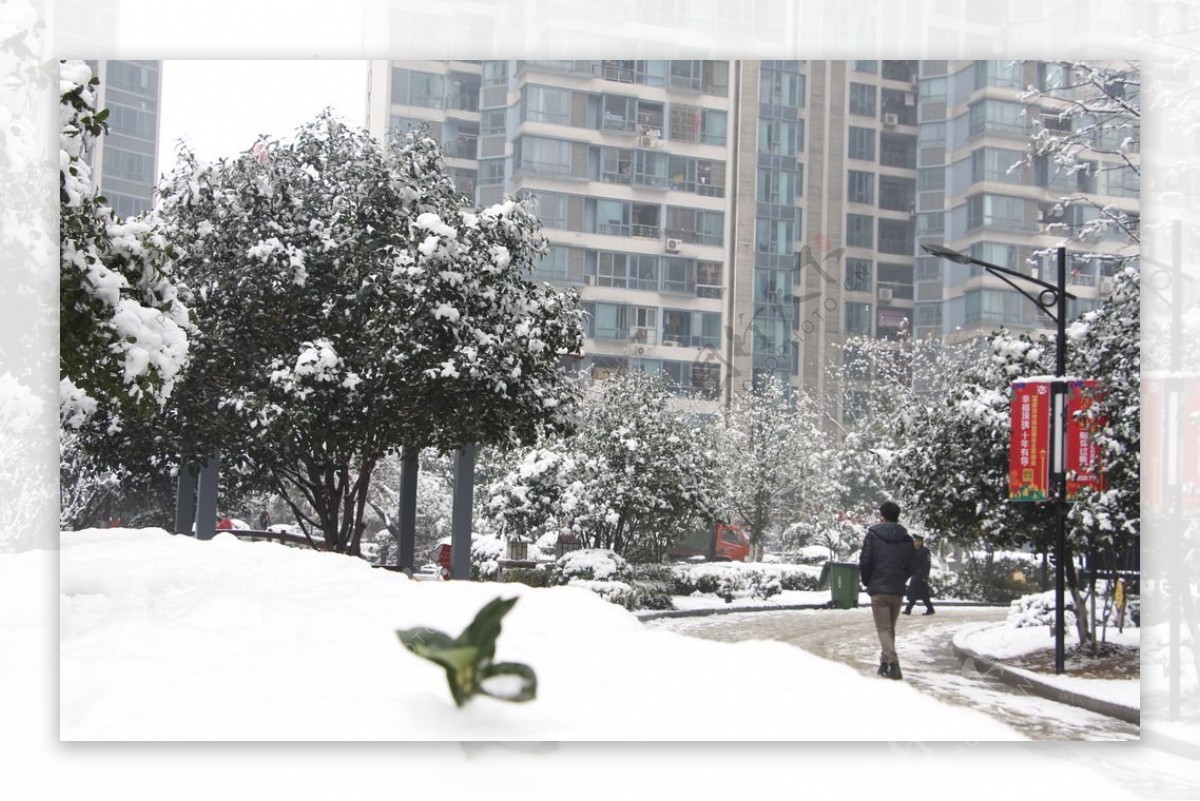 雪景图片