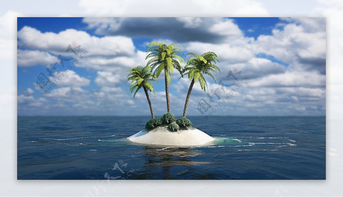 海岛椰树图片