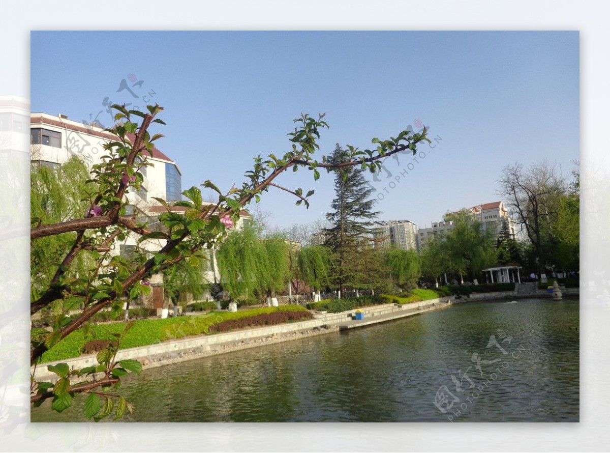 明湖边的春天图片