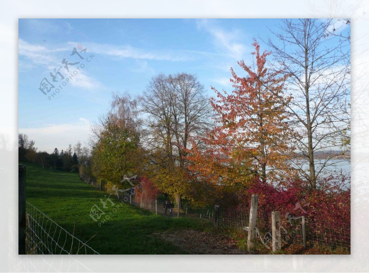 瑞士风光秋天的郊外图片