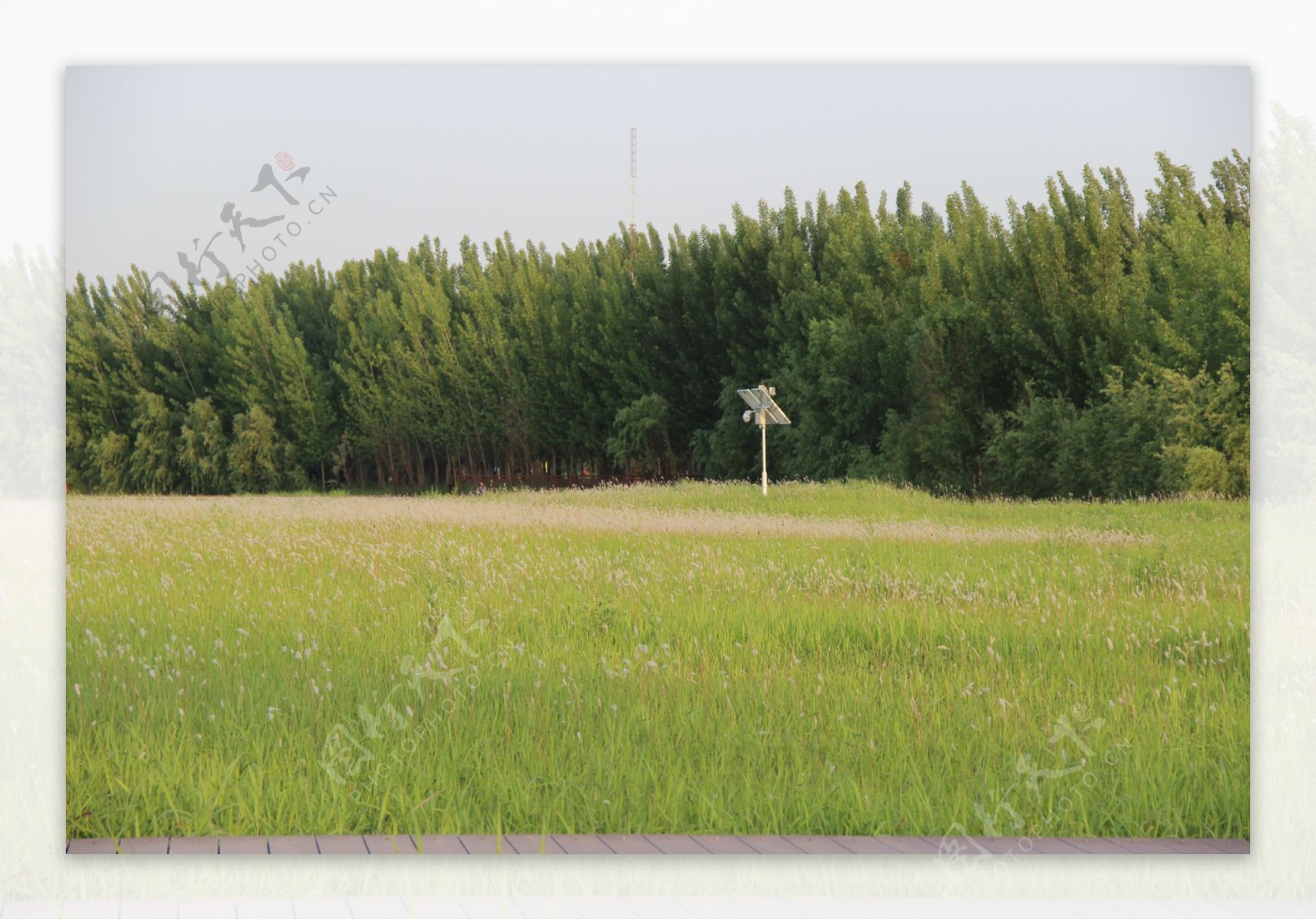 郑州黄河湿地公园图片