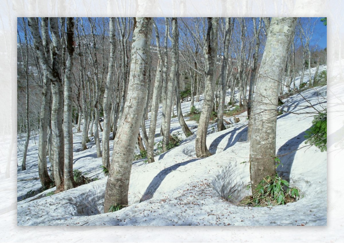 奥林匹克公园雪景图片