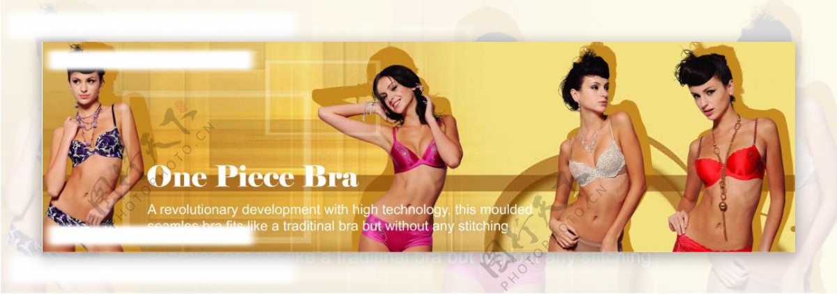 国外美女模特代言的内衣广告图片