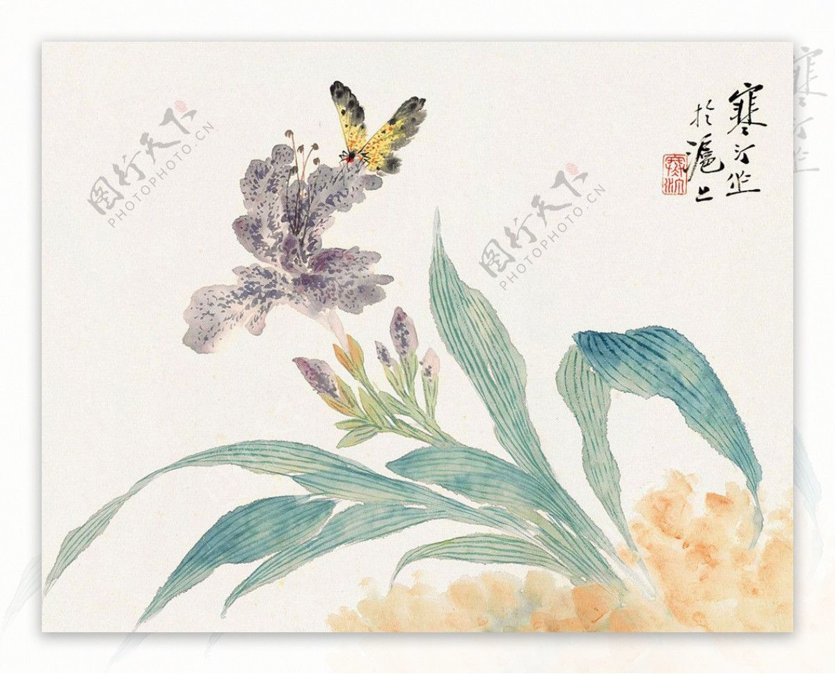 花蝶国画图片