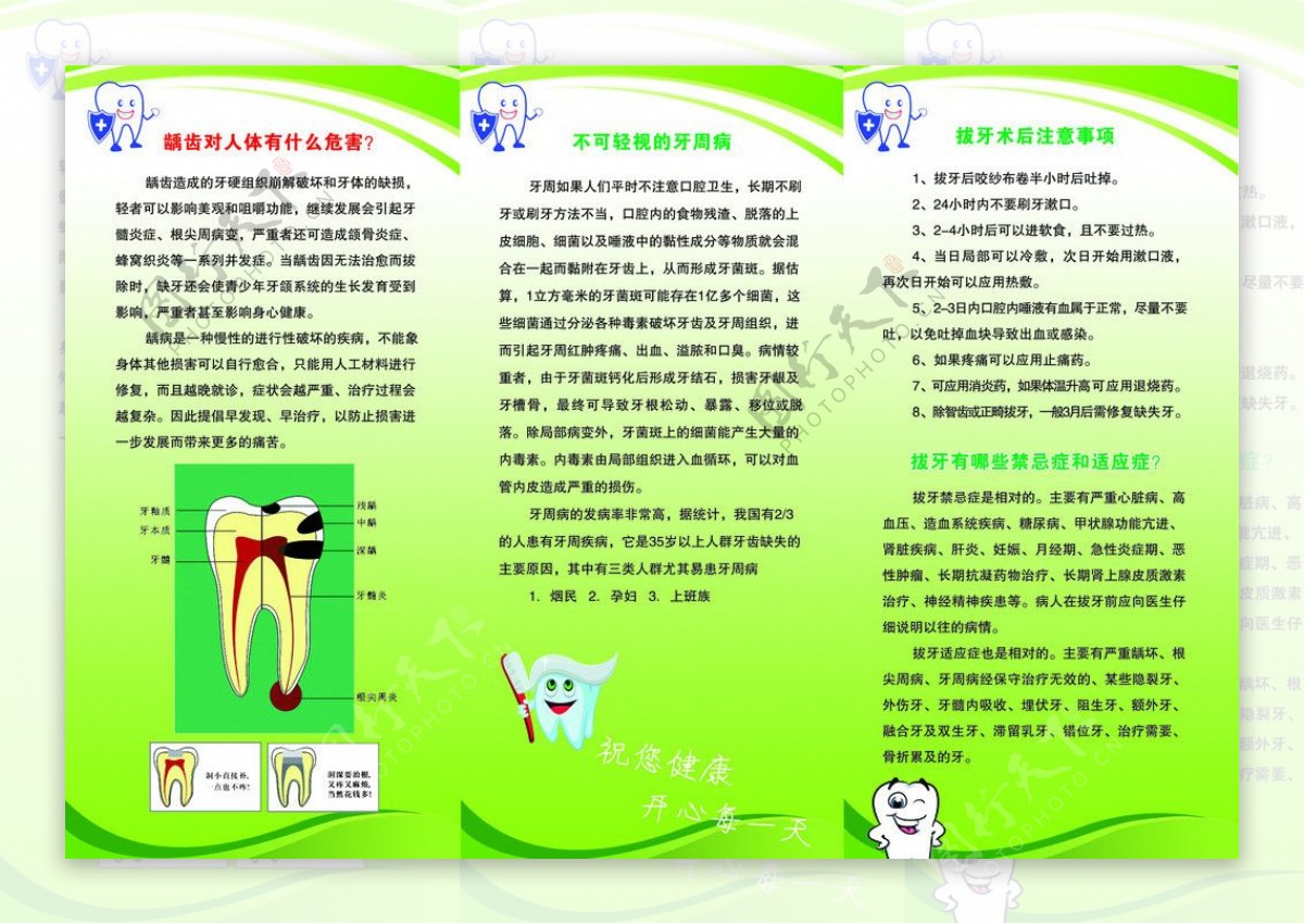 牙齿健康宣传折页图片