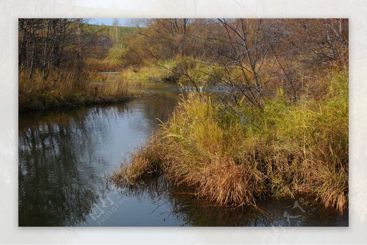 根河金河口的秋天风景图片