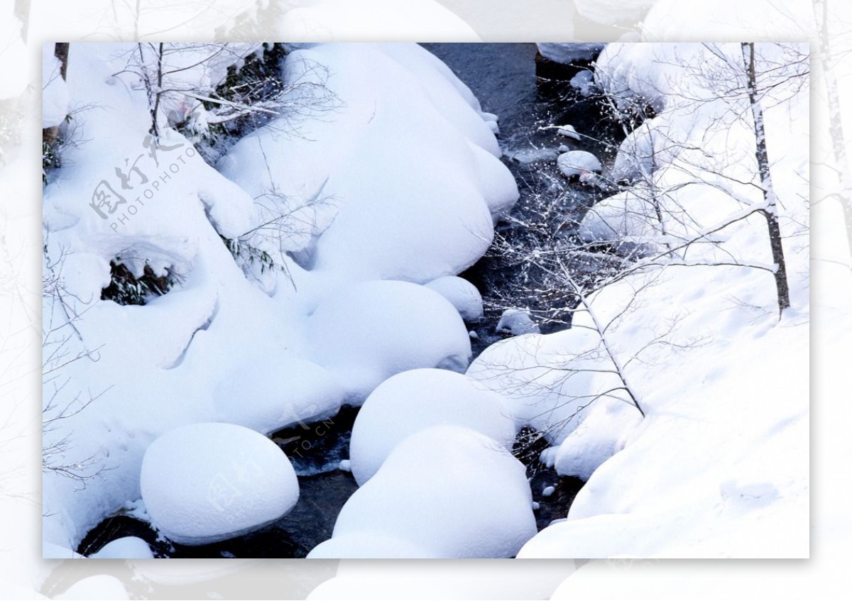 白雪图片