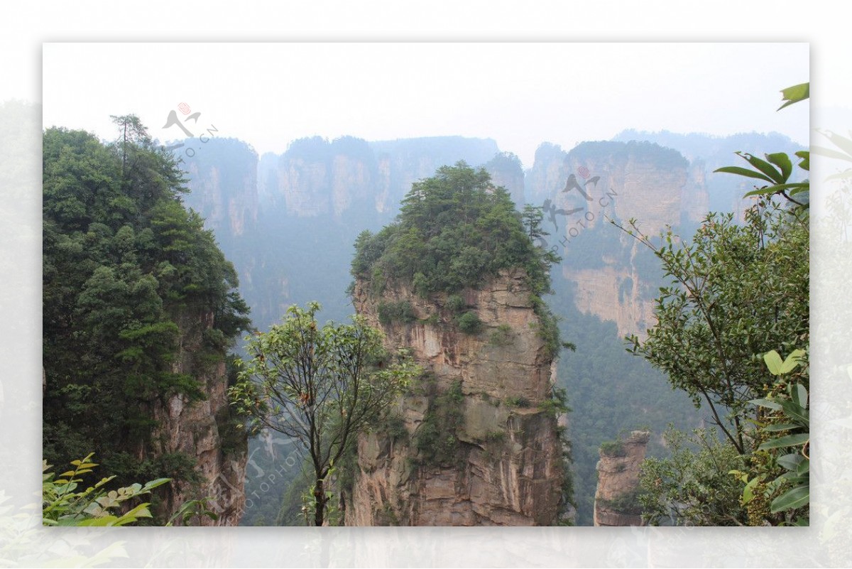 山峰树林美景风光图片