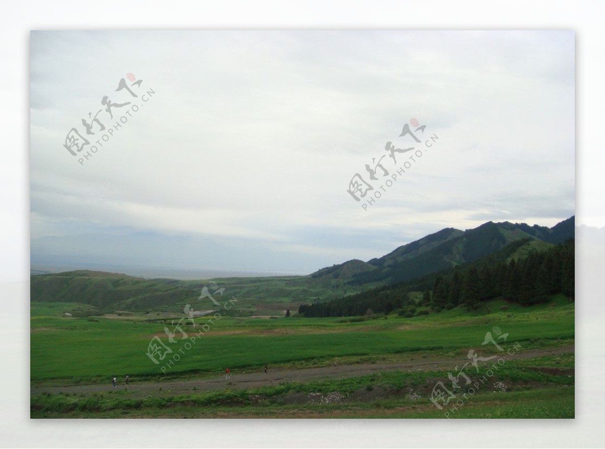 新疆南山风图片