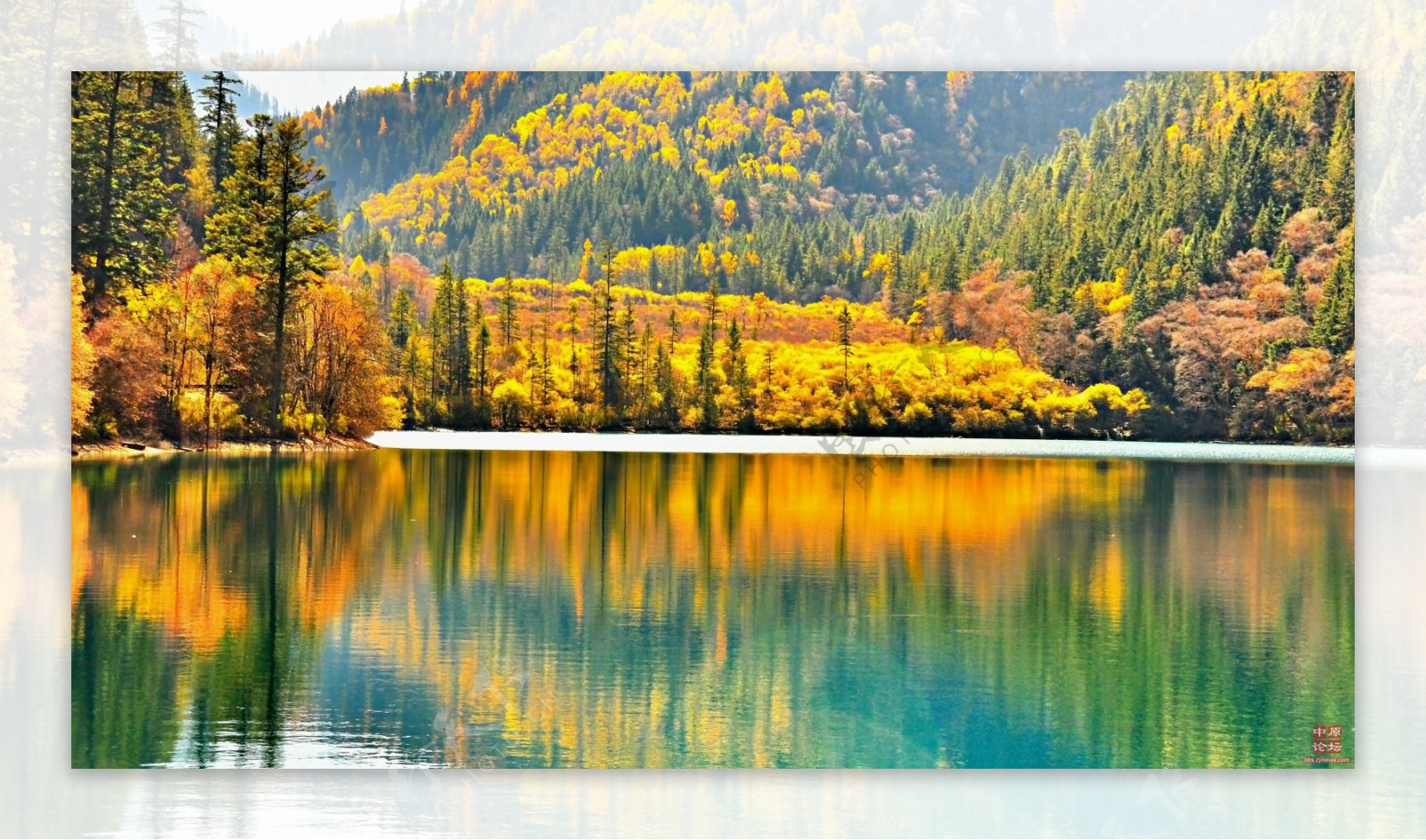 湖边秋天美景图片