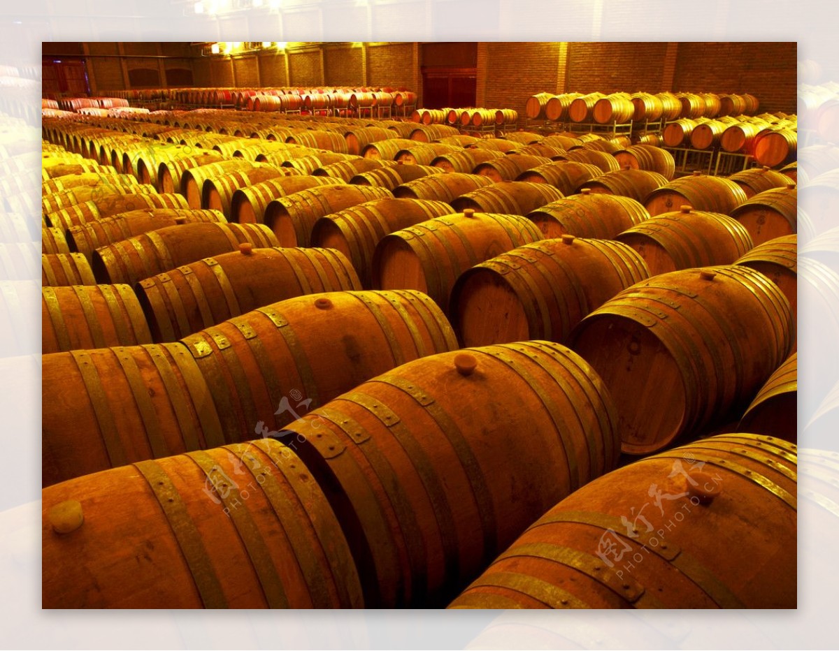 葡萄酒酒窖图片