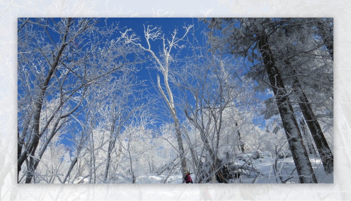 雪地图片