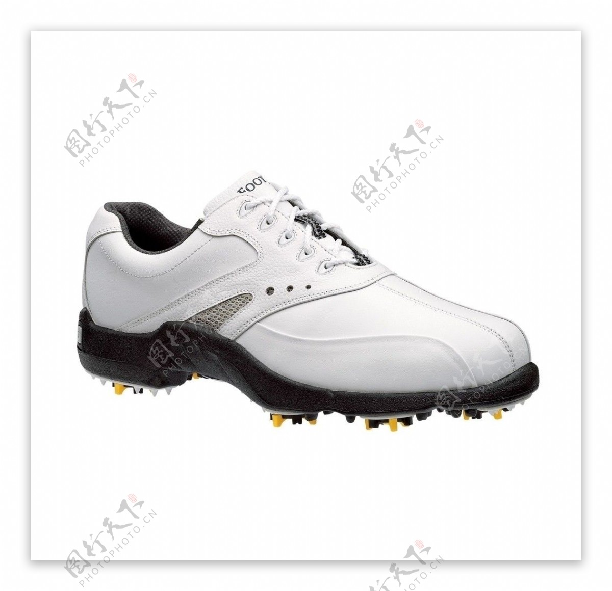 男式高尔夫球鞋图片