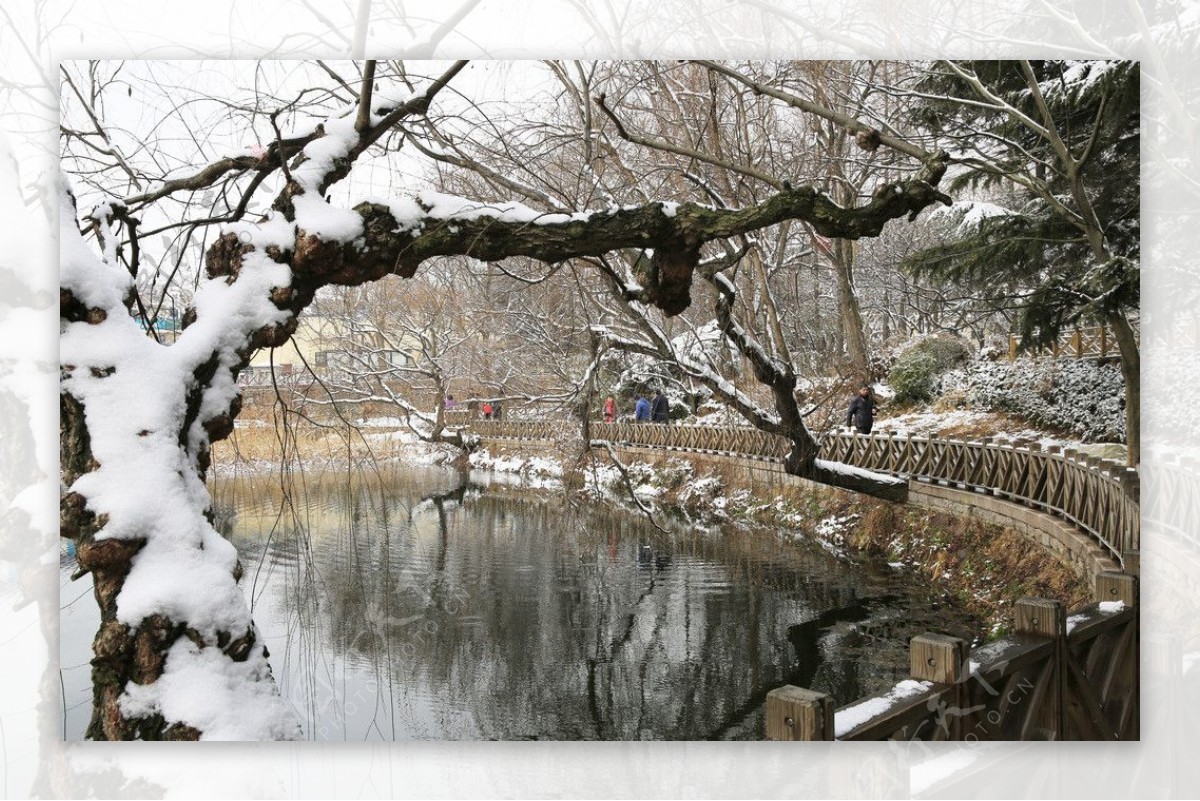 青岛雪景图片