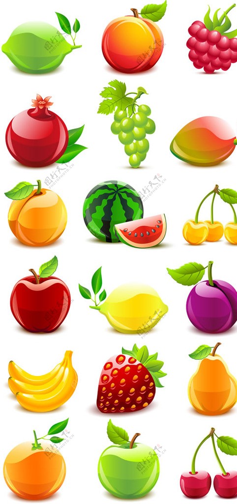 蔬果水果矢量图片