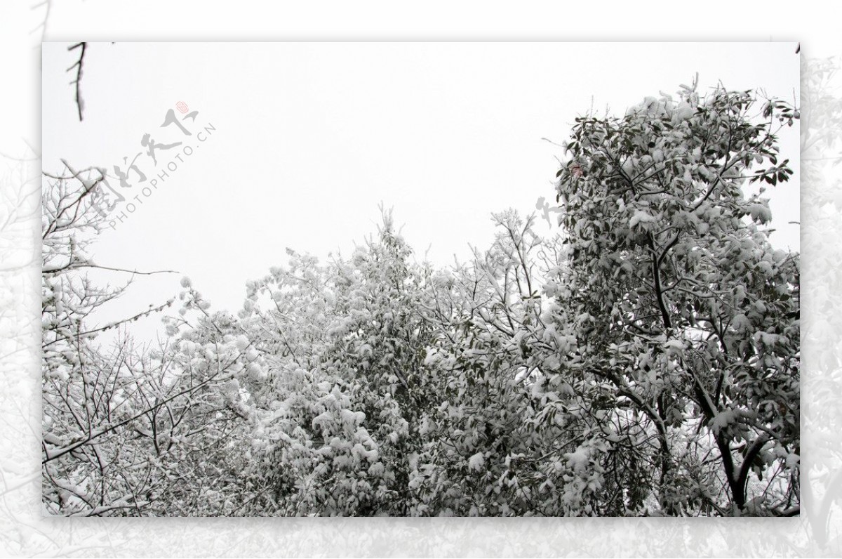 雪景图片