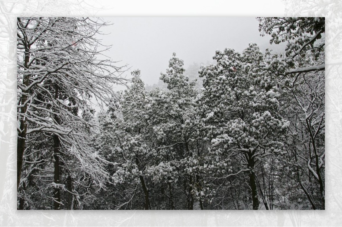 雪景图片