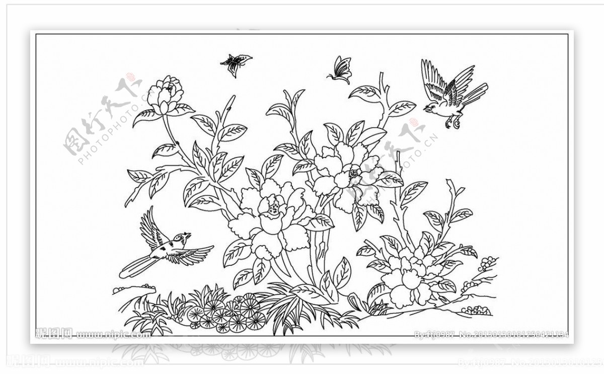鸟蝴蝶花线描图图片