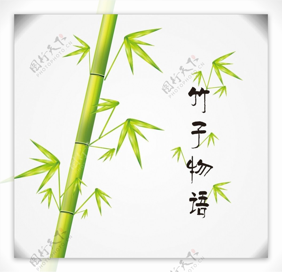 矢量竹子插画图片
