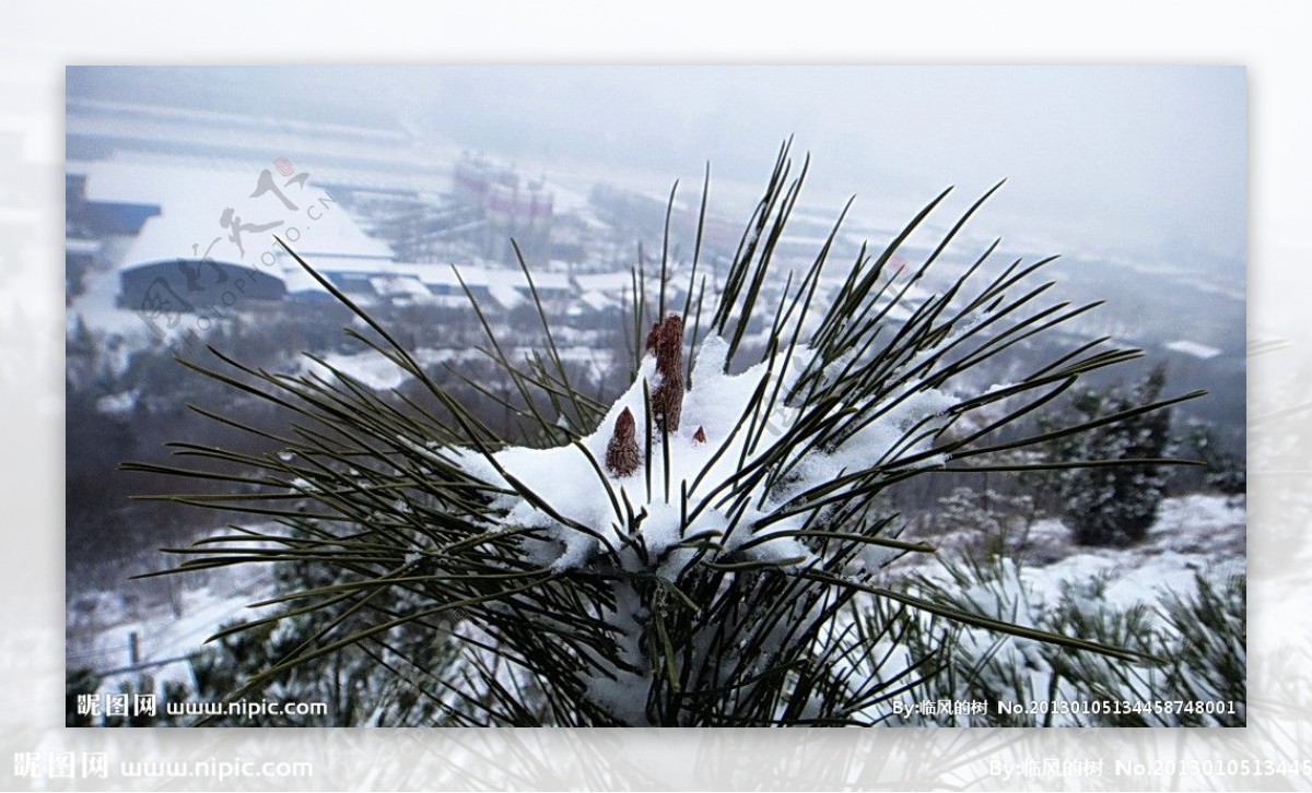 腊山的雪图片