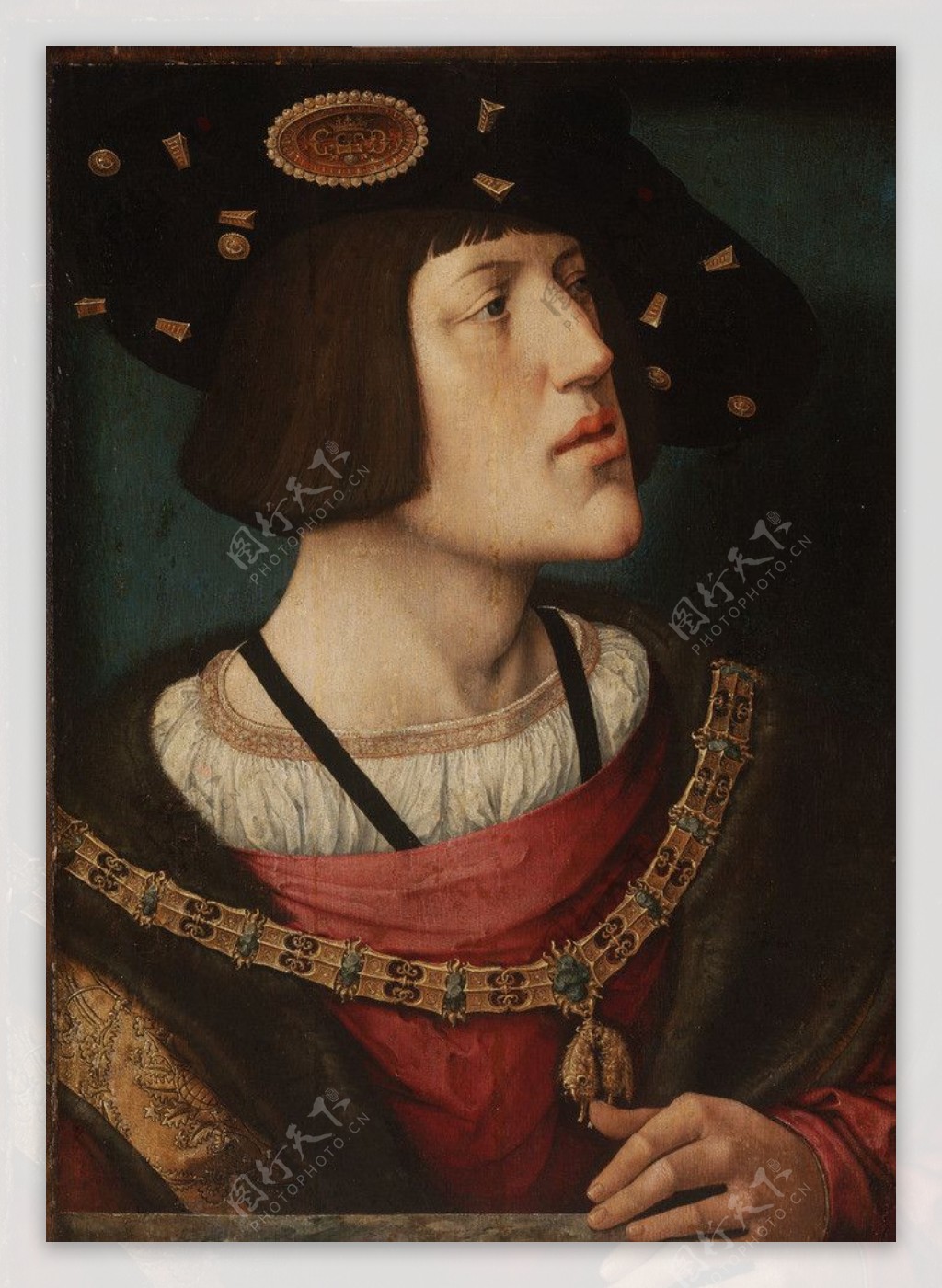 卡斯蒂利亚国王查理五世图片