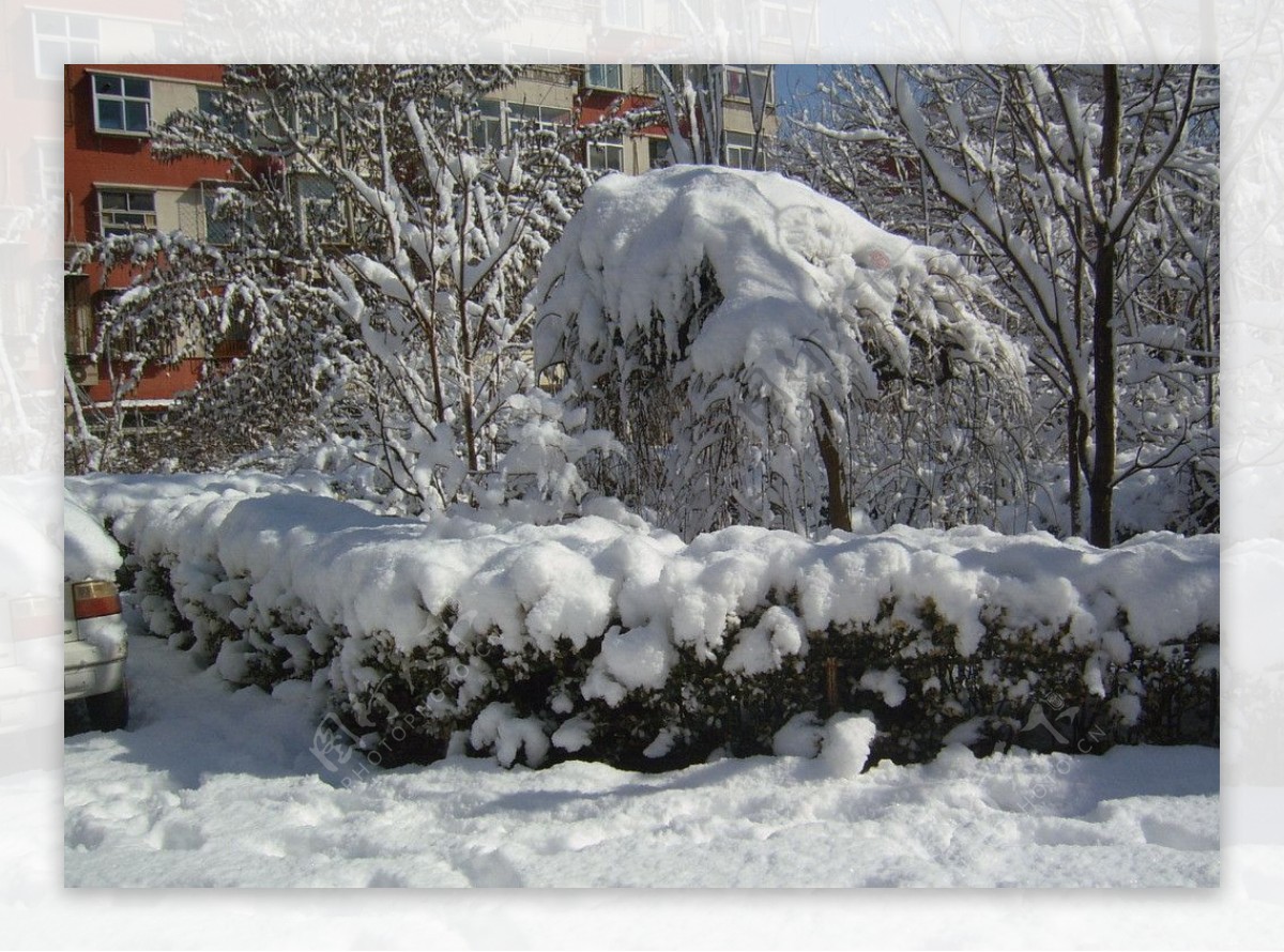 花坛雪景图片