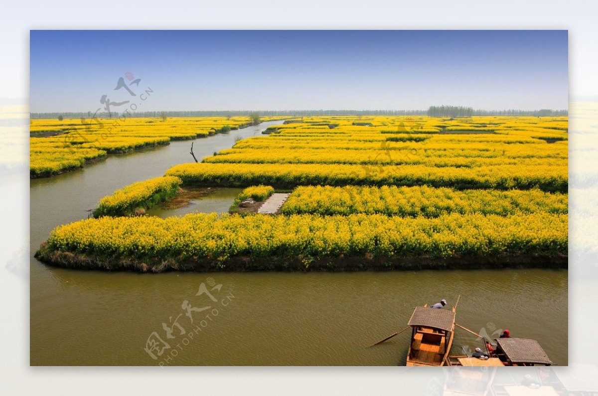 千岛菜花风景区图片