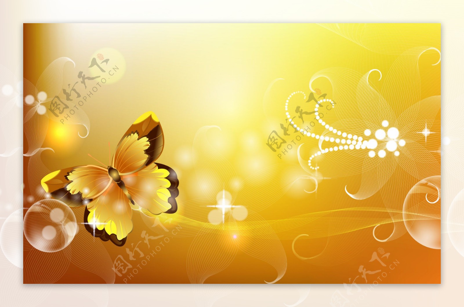 金色蝴蝶光斑背景图片