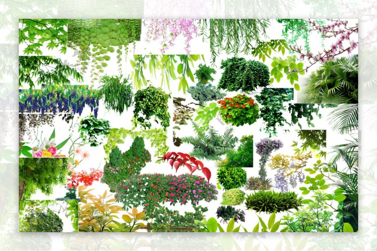 PS藤蔓花卉绿色植物素材图片