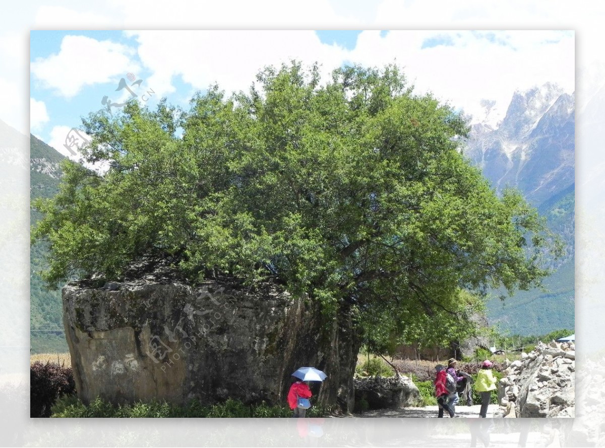 西藏风景图片