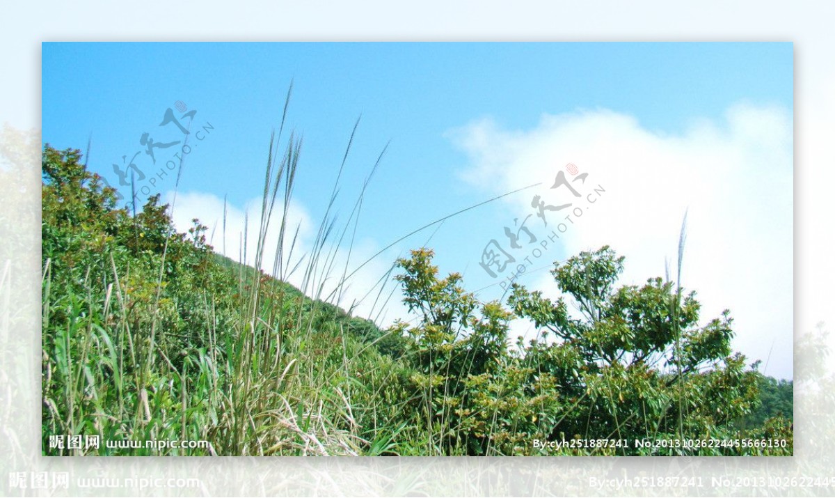 深圳梧桐山风景图片