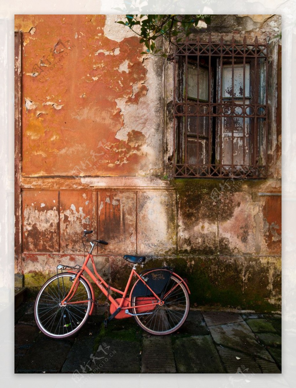 靠墙的脚踏车图片