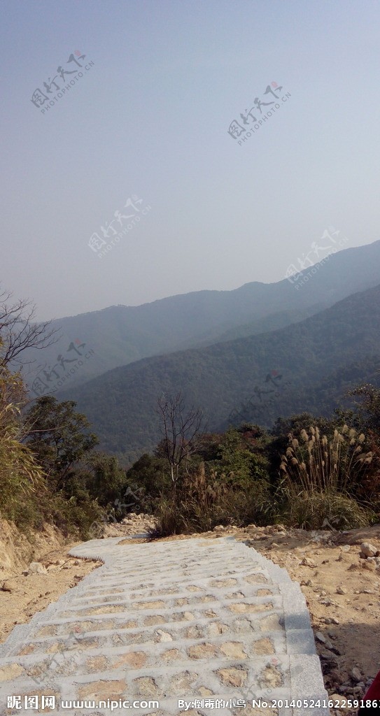 皂幕山登山道图片