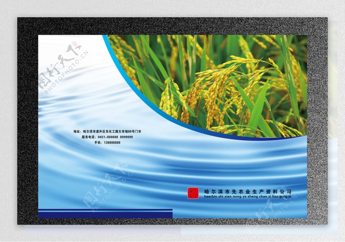 农业水稻封面图片