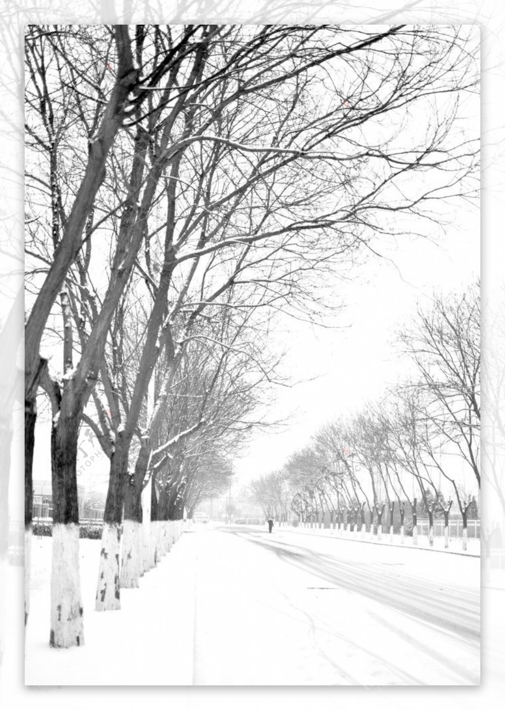 北京冬天的雪景图片
