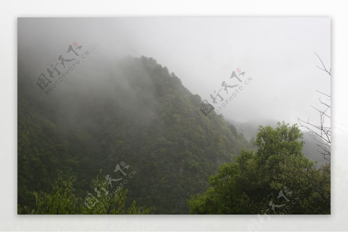 庐山雾图片