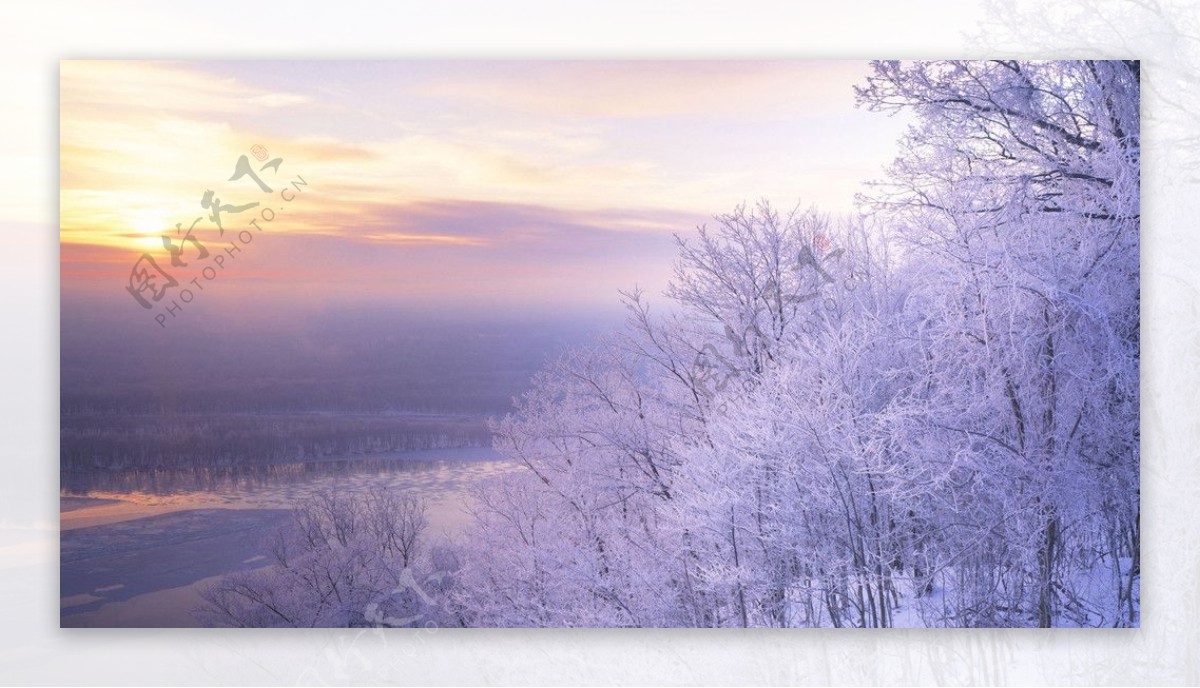 雪地朝阳图片