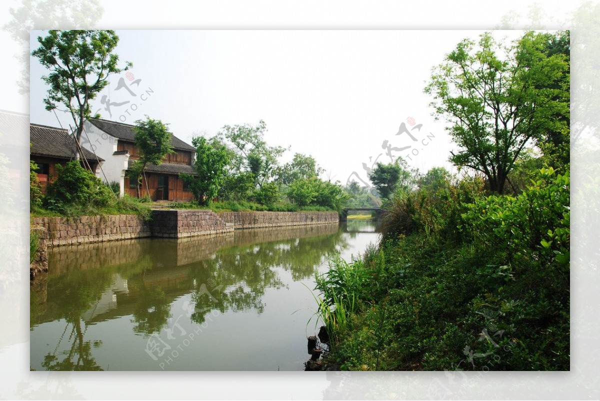 杭州之西溪湿地图片