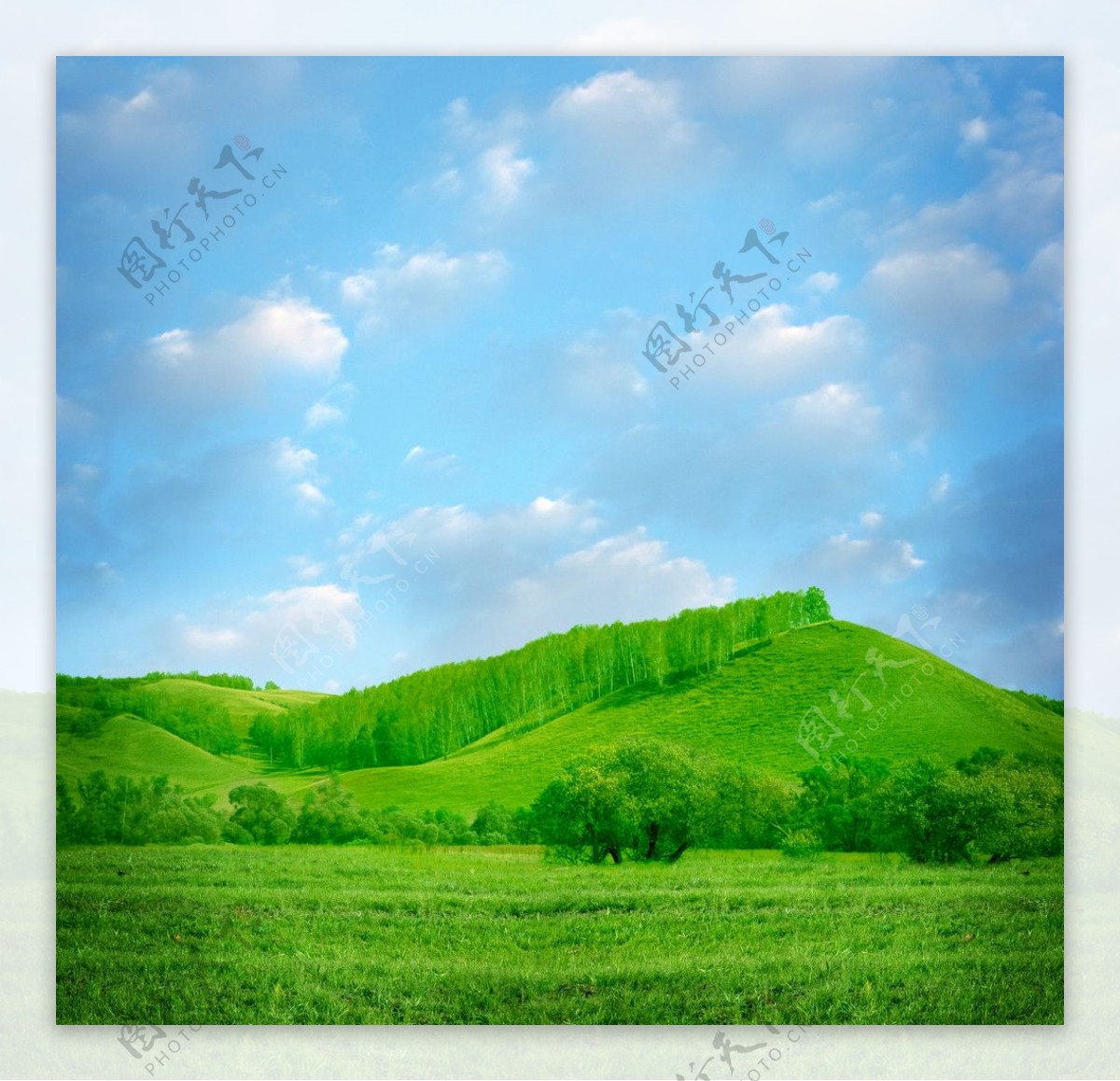 蓝天白云绿野群山树林图片