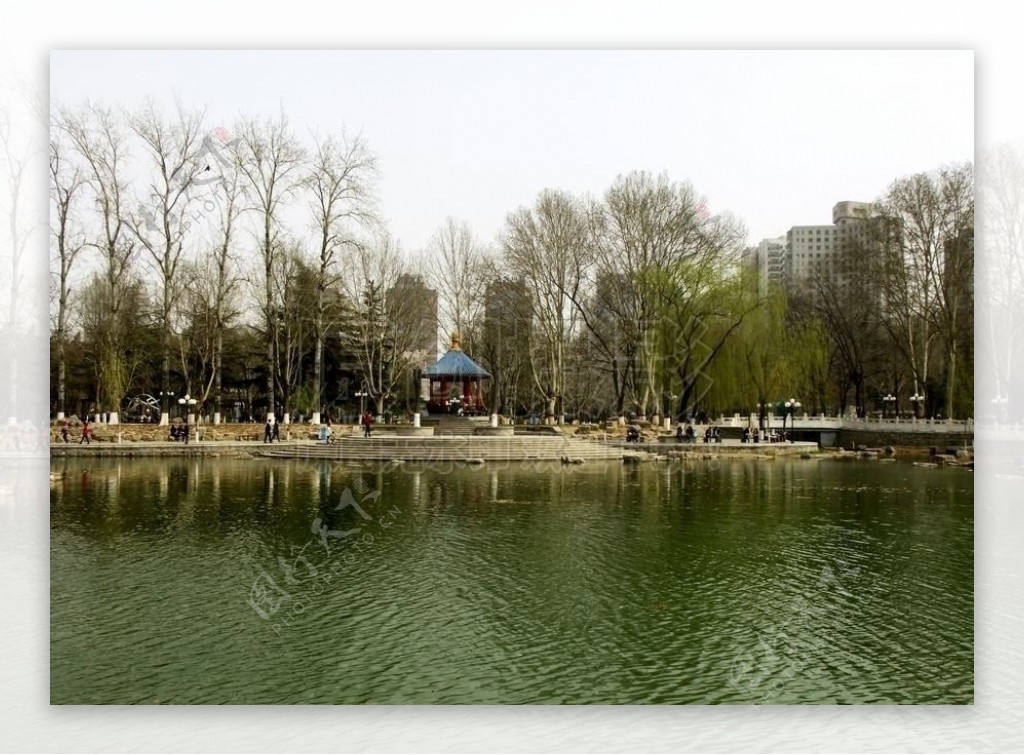 春天的湖面图片