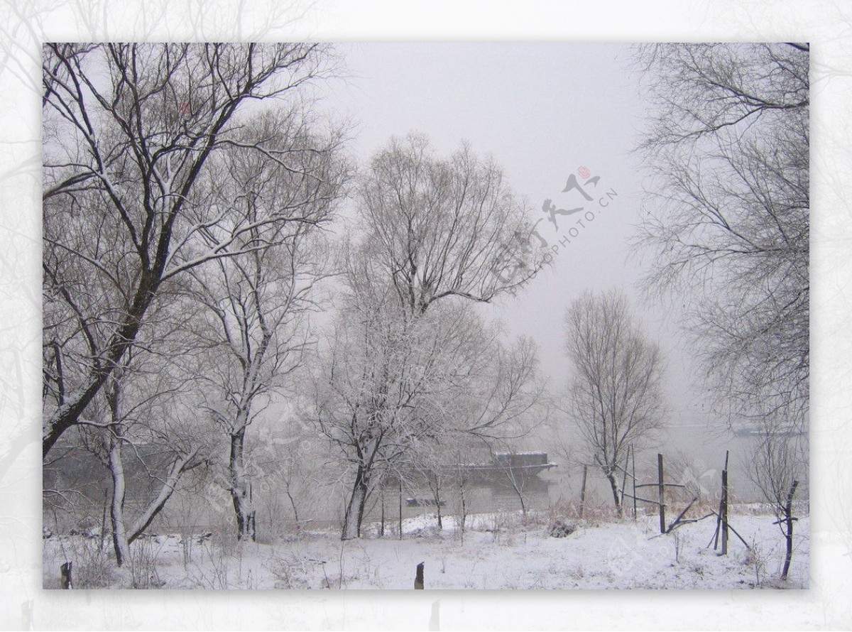 雪景图片