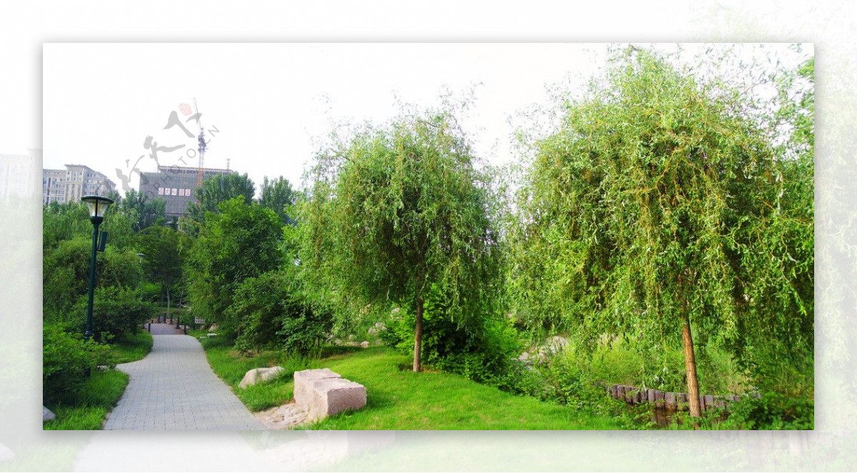 潍坊植物园景观图片