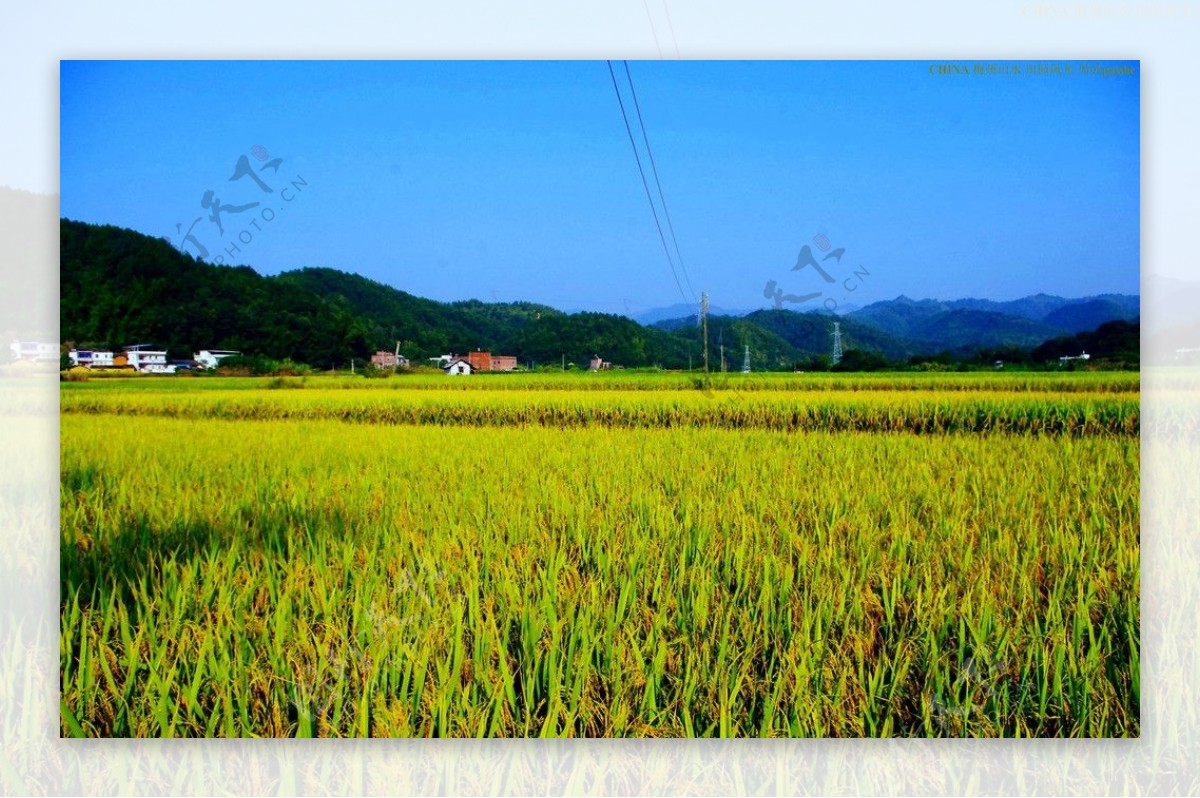 山水风景田园风光图片