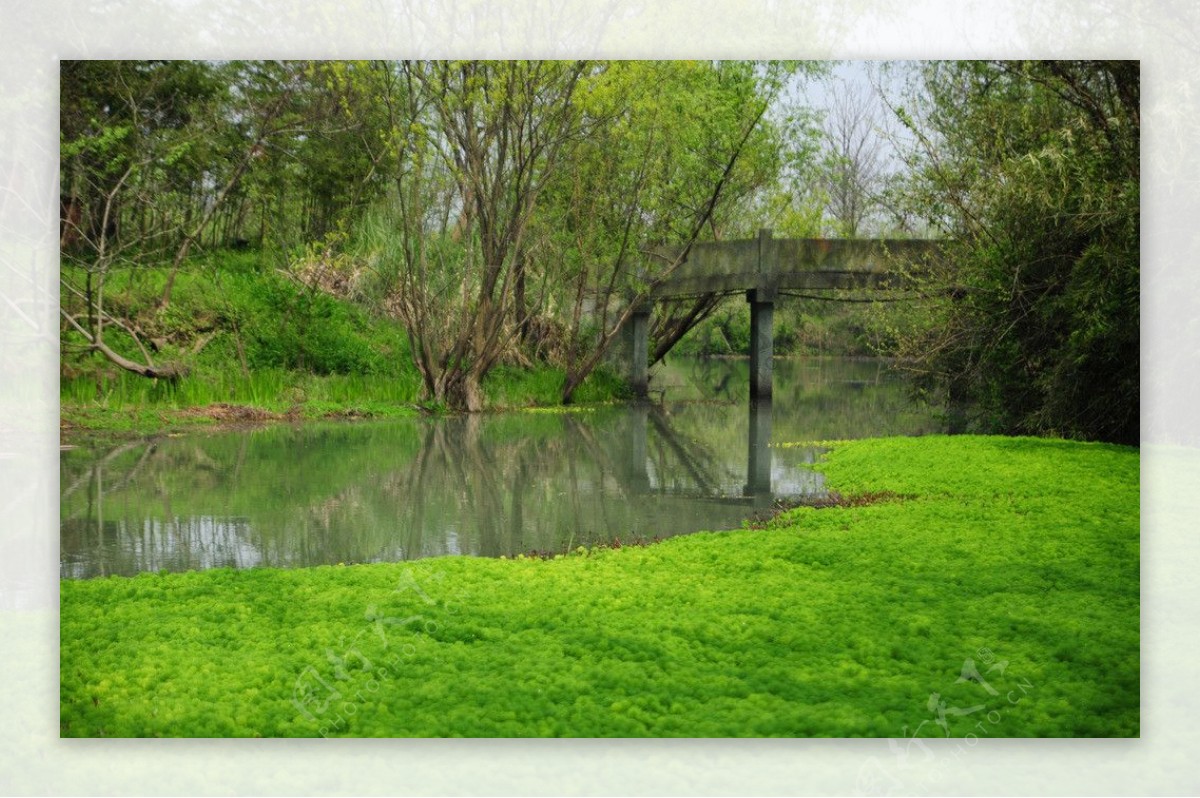 杭州西溪湿地小桥图片