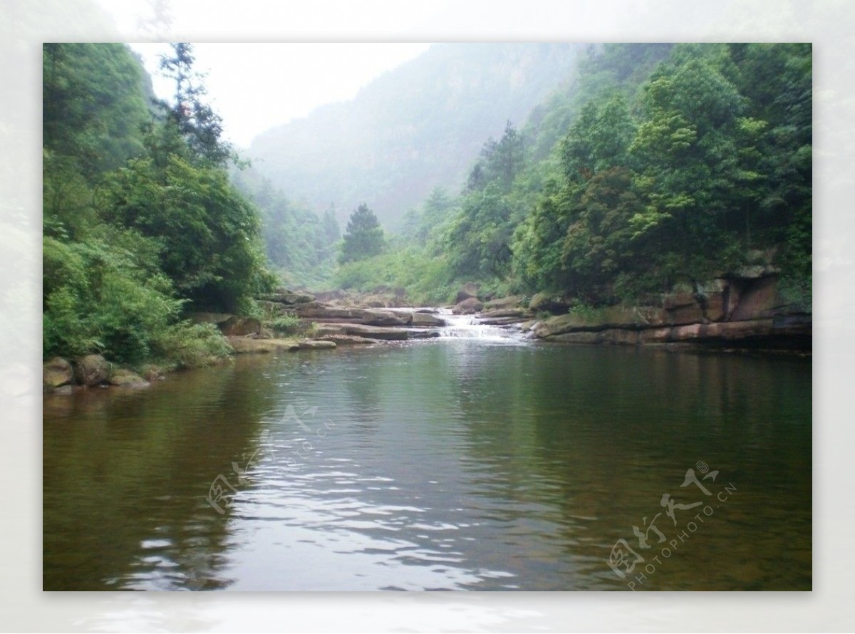 森林山涧溪流图片