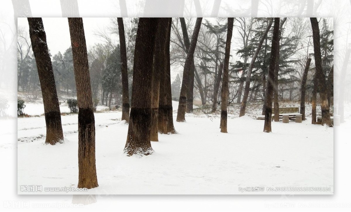 雪景图片