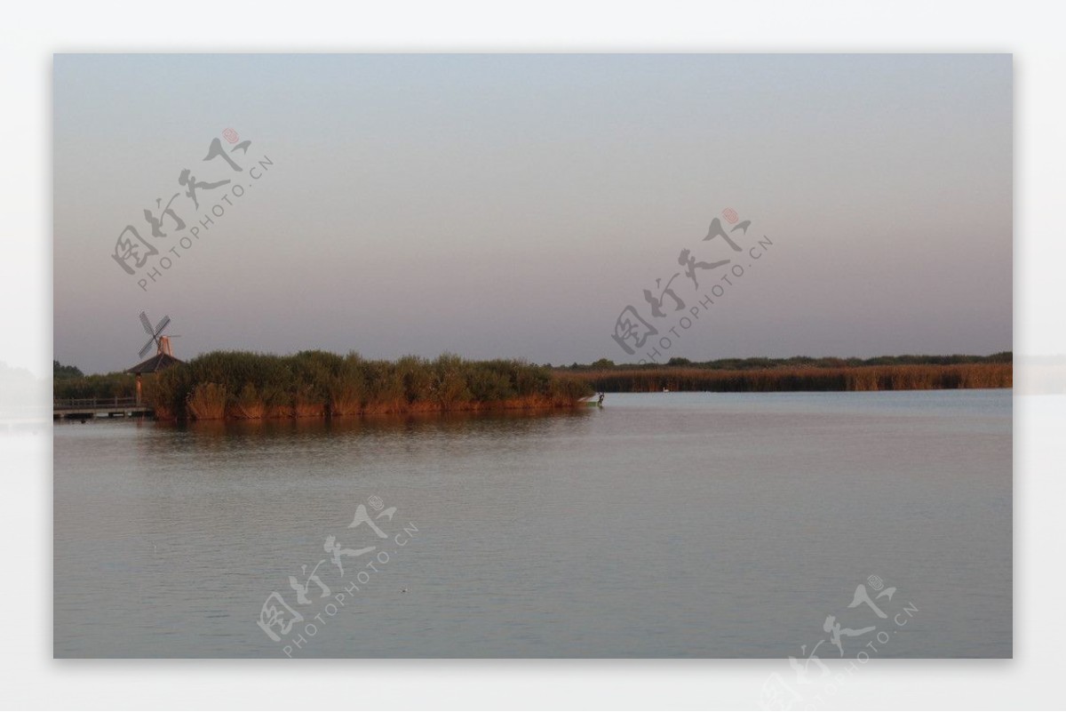 东营黄河口湿地图片