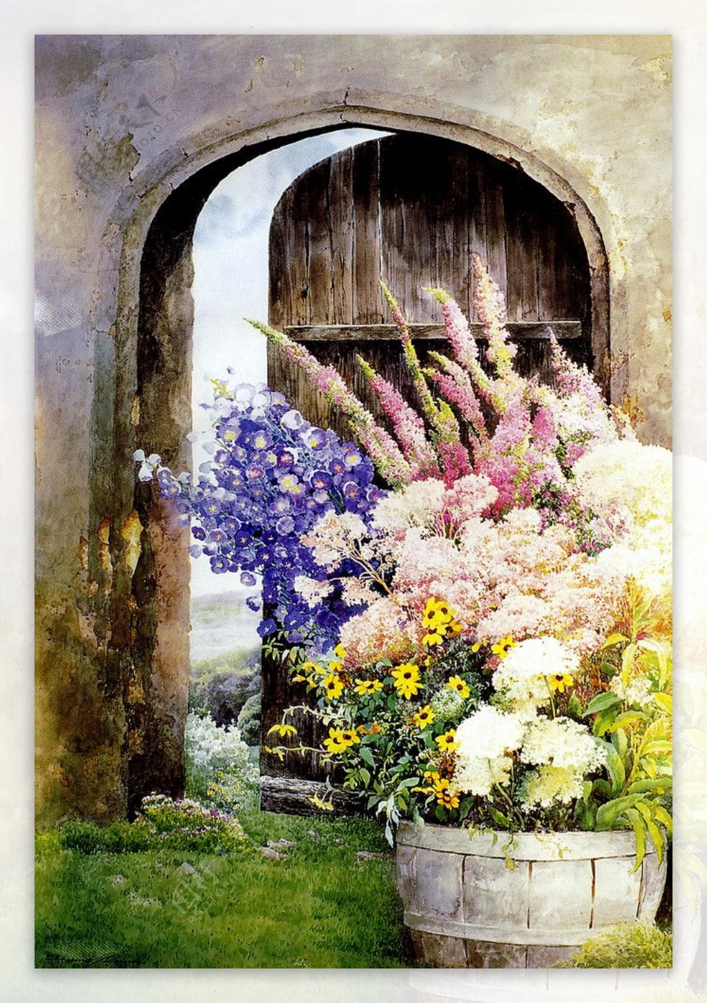 门前花盆图片