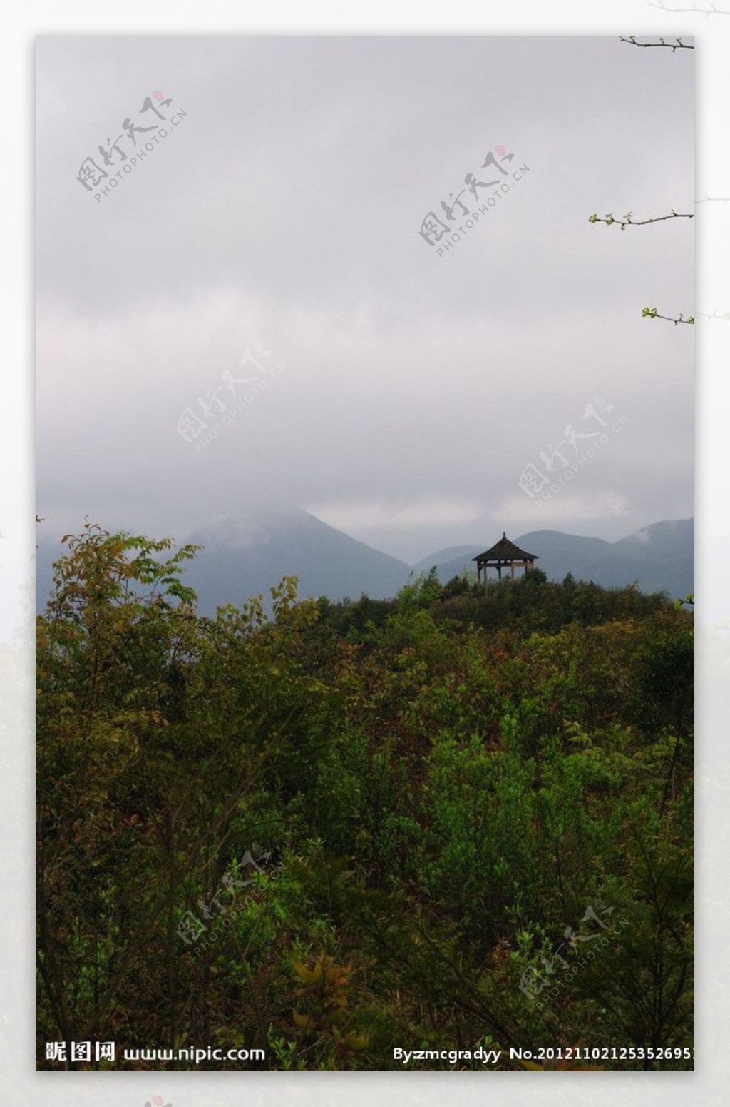重庆仙女山风景图片
